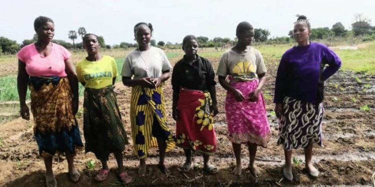 Malawi women lead the restoration plan amid flooding