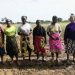 Malawi women lead the restoration plan amid flooding