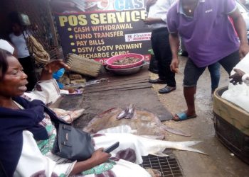 Nigerian Women on the Path to Curb Pollution