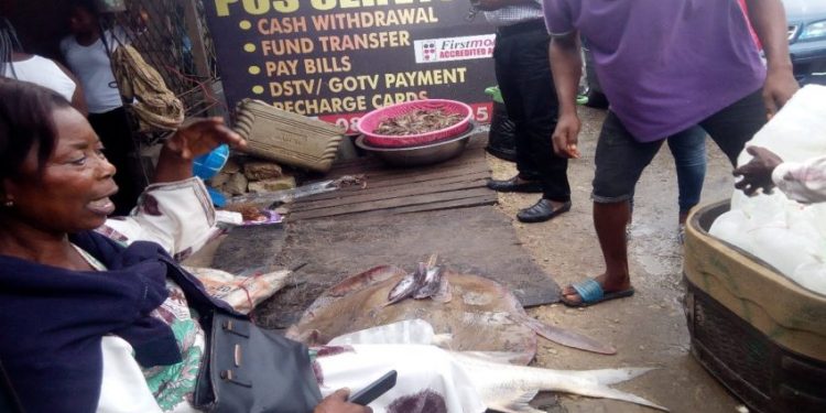 Nigerian Women on the Path to Curb Pollution