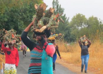 Zimbabwe Women Adopt Energy Saving Stoves to Save Trees