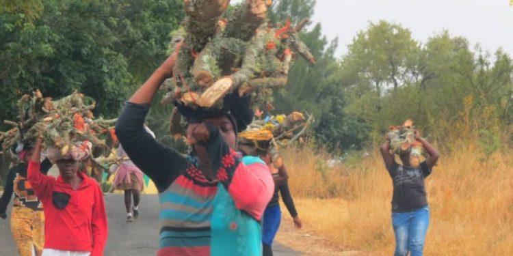 Zimbabwe Women Adopt Energy Saving Stoves to Save Trees