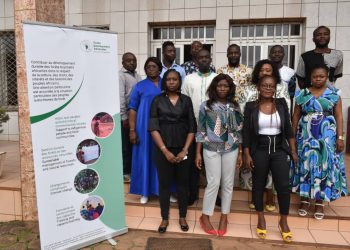 Participants at the workshop in Yaounde