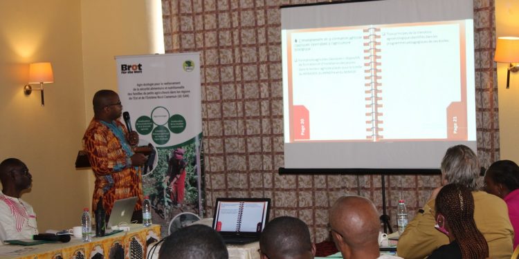 Prof. Joseph Keutcheu, presenting results of the study ordered by SAILD