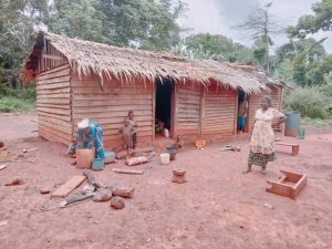 Bantu village (Gribe) hosting Baka indegenes in Boumba and Ngoko Division
