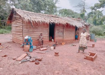 Bantu village (Gribe) hosting Baka indegenes in Boumba and Ngoko Division, they are gradually been chased out of the forest