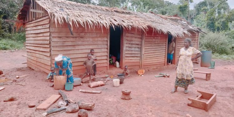 Bantu village (Gribe) hosting Baka indegenes in Boumba and Ngoko Division, they are gradually been chased out of the forest