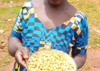 A Bantu woman in Gribe, Boumba and Ngoko Division of the East region presenting already extracted'Njangsa', ready for marketing