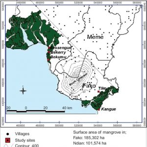 Map shows mangrove coastline in the Douala-Kribi coastline