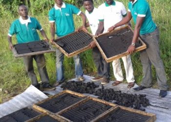 Eco-friendly charcoal produced from waste material and used to dry fish in Limbe and Douala
