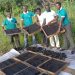 Eco-friendly charcoal produced from waste material and used to dry fish in Limbe and Douala