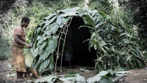 Baka huts in Cameroon (archives)