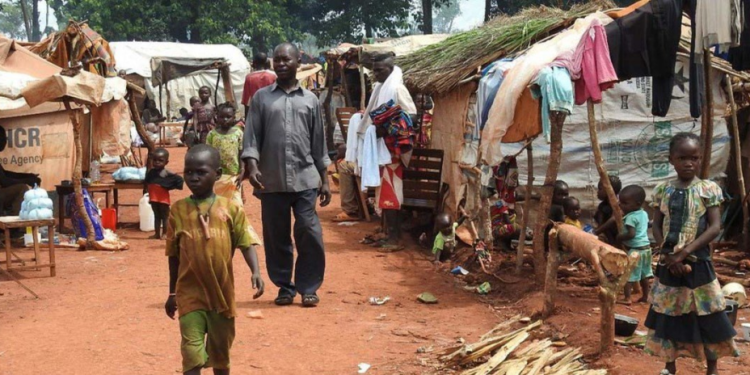 RCA : la MINUSCA arrête le chef régional d’un groupe armé accusé de violations des droits humains