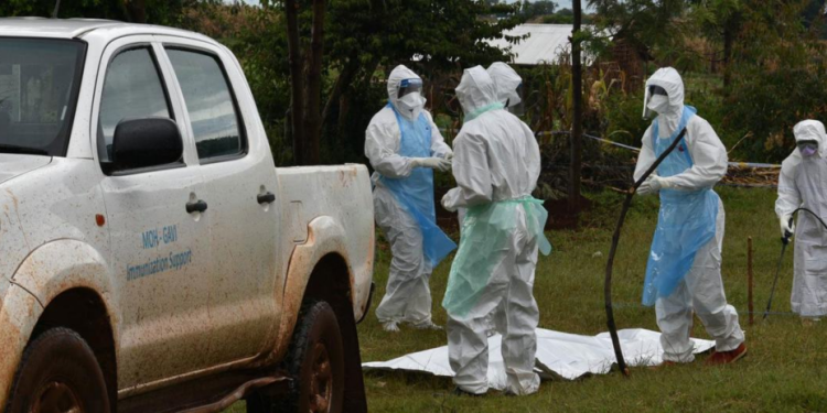 Tanzania confirms first-ever outbreak of deadly Marburg Virus Disease