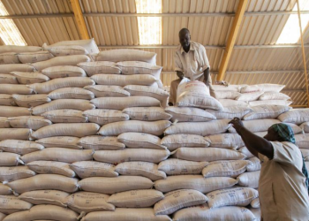 WFP chief puts hold on Sudan aid operations, following death of 3 staff in unrest