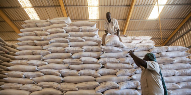 WFP chief puts hold on Sudan aid operations, following death of 3 staff in unrest