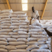 WFP chief puts hold on Sudan aid operations, following death of 3 staff in unrest