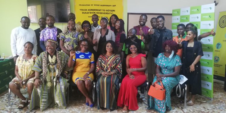 Officials and participants at the Greenpeace Africa workshop