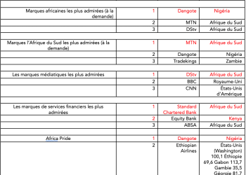 Les marques africaines ne représentent plus que 14 % des 100 marques les plus admirées en Afrique, les marques non africaines renforçant leur position sur le continent. 