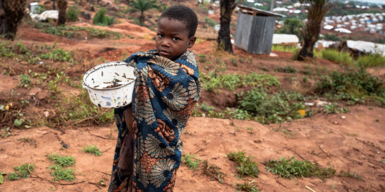 Le chef de l’ONU exhorte les groupes armés dans la région des Grands Lacs à déposer les armes