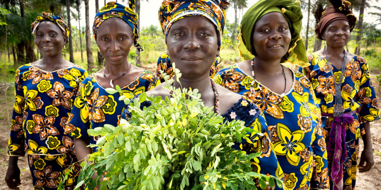 Une priorité pour la Guinée : améliorer le statut des femmes et filles