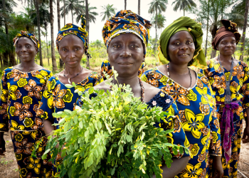 Priority for Guinea: Improving the Status of Women and Girls