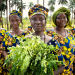 Priority for Guinea: Improving the Status of Women and Girls