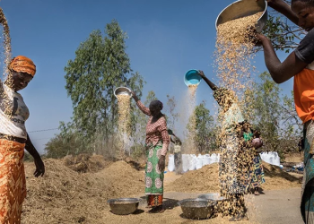 Evolutions récentes et perspectives sur l’économie et la pauvreté au Burkina Faso : Renforcer la résilience financière face aux risques climatiques