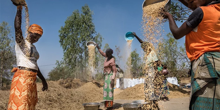 Evolutions récentes et perspectives sur l’économie et la pauvreté au Burkina Faso : Renforcer la résilience financière face aux risques climatiques