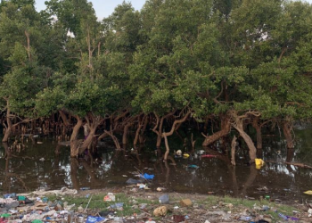 L’Afrique détient le pouvoir et les outils pour redessiner un avenir sans pollution plastique