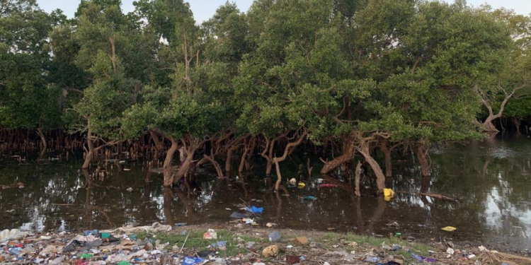 L’Afrique détient le pouvoir et les outils pour redessiner un avenir sans pollution plastique