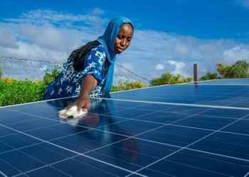 Les flux d’investissement vers l’Afrique ont chuté en 2022 (CNUCED)
