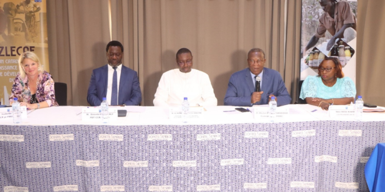 Mise en œuvre de la Zone de Libre-Échange Continentale Africaine (ZLECAf)