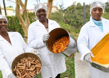 Le pouvoir transformateur de la production alimentaire à l’île Maurice