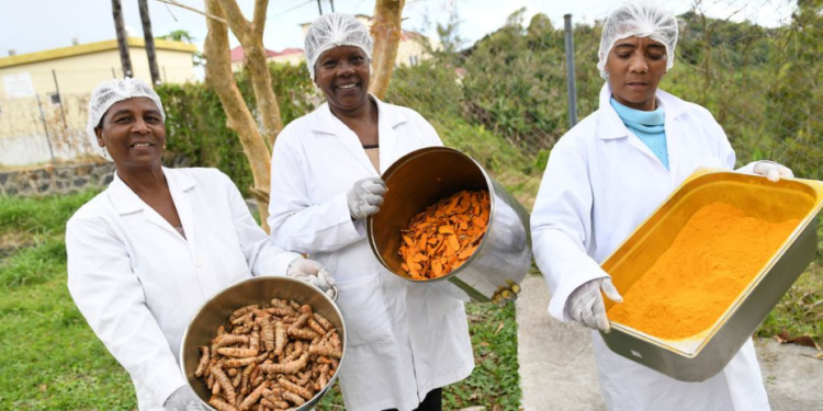 Le pouvoir transformateur de la production alimentaire à l’île Maurice