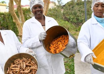 Transformative power of food production in Mauritius: A UN Resident Coordinator blog