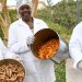 Transformative power of food production in Mauritius: A UN Resident Coordinator blog