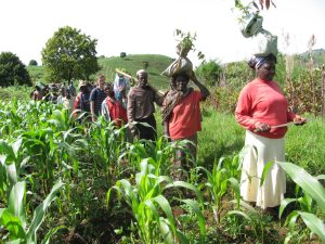Peasant farmers in Cameroon (credit: GlobalGiving)