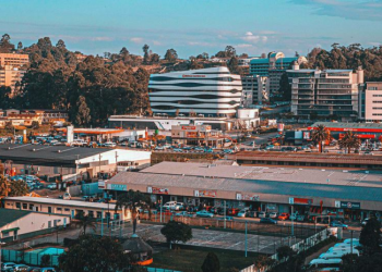 Efficient State-Owned Enterprises Will Boost Eswatini’s Economic Growth
