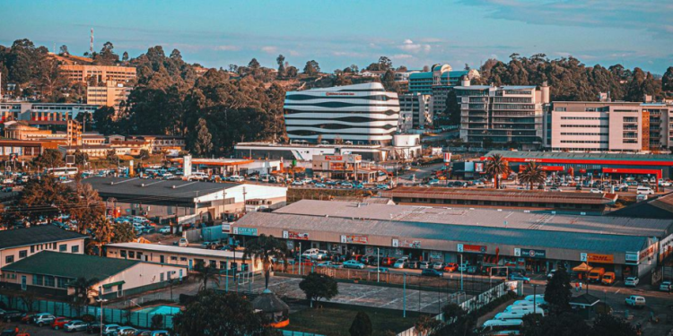 Efficient State-Owned Enterprises Will Boost Eswatini’s Economic Growth