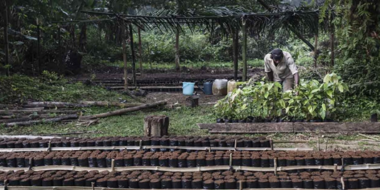 Mozambique : le Fonds africain de développement approuve un financement de 20 millions de dollars pour un projet d’amélioration de l’environnement des affaires et des investissements dans l’agriculture intelligente