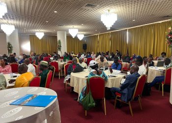 Stakeholders at the Localization days in Yaounde