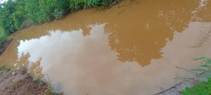 River Doua in Nkoteng already contaminated even befor the harvest and processing period 