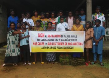 The women of AFRISE protesting the replanting process of the oil palm plantation by SOCAPALM