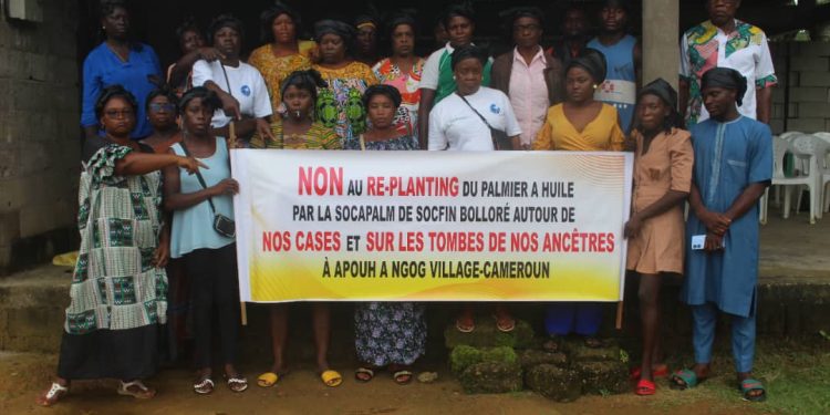 The women of AFRISE protesting the replanting process of the oil palm plantation by SOCAPALM
