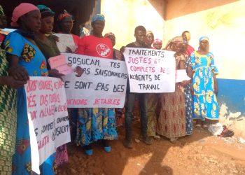 Prise en charge médicale: des travailleurs de Sosucam dénoncent des défaillances de l’entreprise