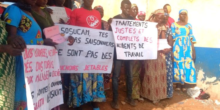 Prise en charge médicale: des travailleurs de Sosucam dénoncent des défaillances de l’entreprise