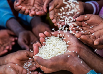 Bühler and dsm-firmenich join forces to advance efforts to combat hidden hunger in Nigeria