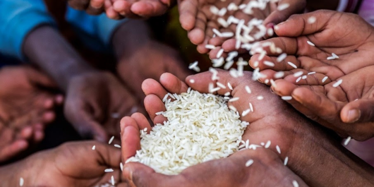 Bühler and dsm-firmenich join forces to advance efforts to combat hidden hunger in Nigeria
