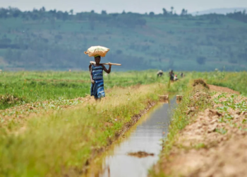 Congo: African Development Bank’s 2023-2028 Country Strategy Paper sets developing sustainable infrastructure and improving economic governance as key priorities